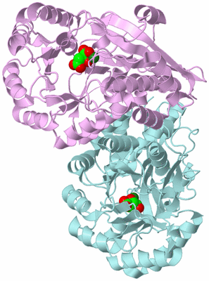 Image Biological Unit 4