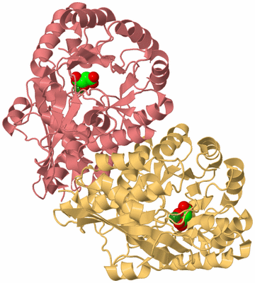 Image Biological Unit 5