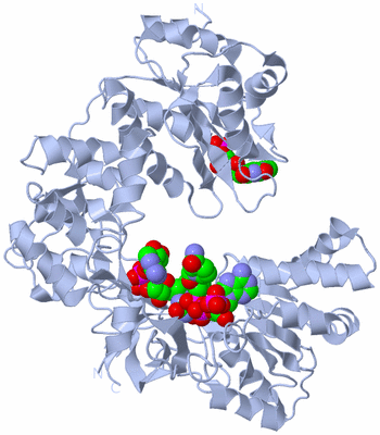 Image Biological Unit 1