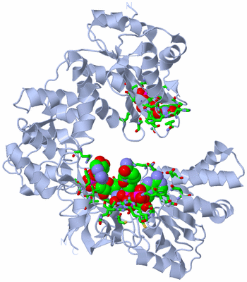 Image Biol. Unit 1 - sites