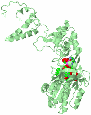 Image Biological Unit 2