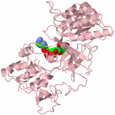 Image Biological Unit 3