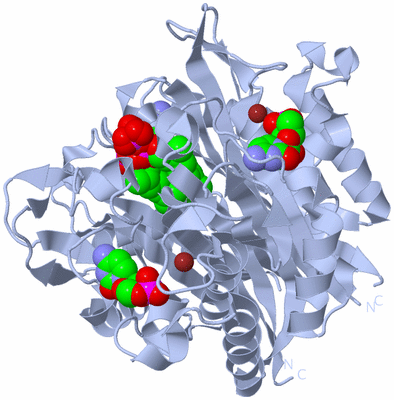 Image Biological Unit 1