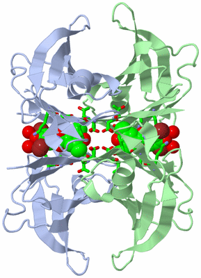 Image Biol. Unit 1 - sites