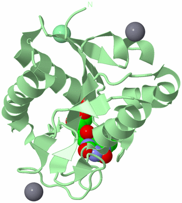 Image Biological Unit 2