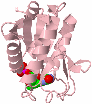 Image Biological Unit 3