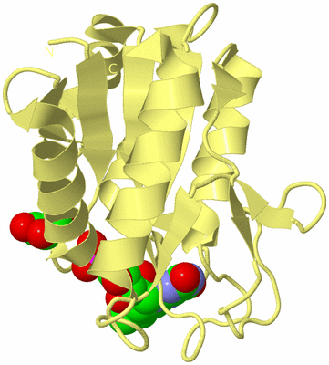 Image Biological Unit 4