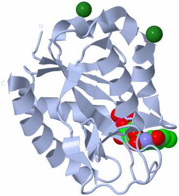 Image Biological Unit 1