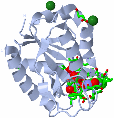 Image Biol. Unit 1 - sites