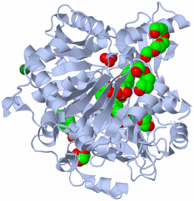 Image Biological Unit 2