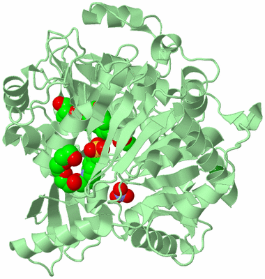 Image Biological Unit 3