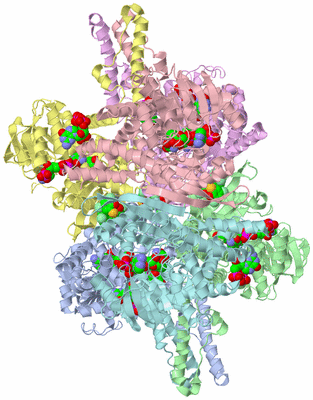 Image Asym./Biol. Unit