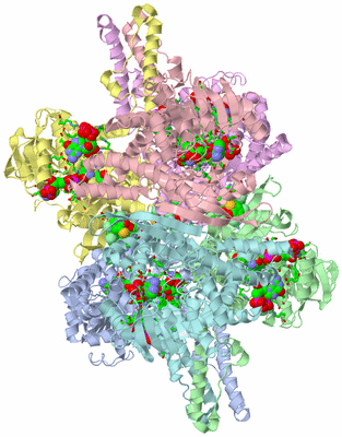 Image Asym./Biol. Unit - sites