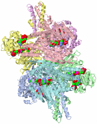 Image Asym./Biol. Unit