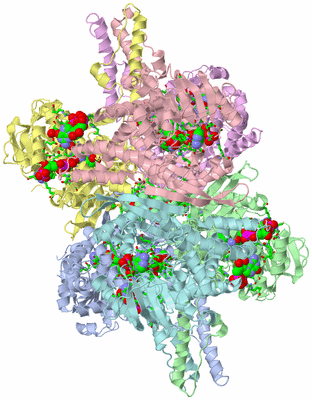 Image Asym./Biol. Unit - sites