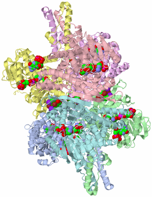 Image Asym./Biol. Unit