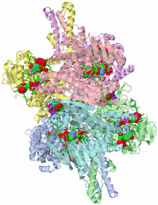 Image Asym./Biol. Unit - sites