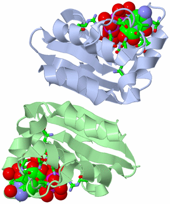 Image Asym. Unit - sites