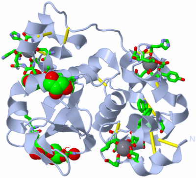 Image Biol. Unit 1 - sites