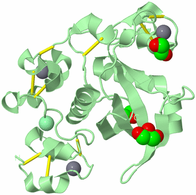 Image Biological Unit 2