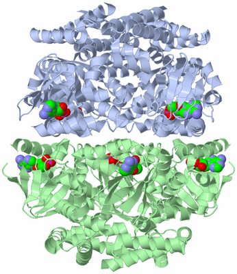 Image Biological Unit 1