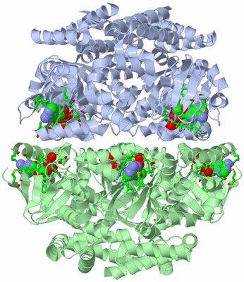 Image Biol. Unit 1 - sites