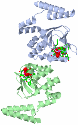 Image Asym. Unit - sites