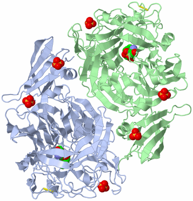 Image Biological Unit 2