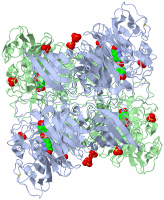 Image Biological Unit 1