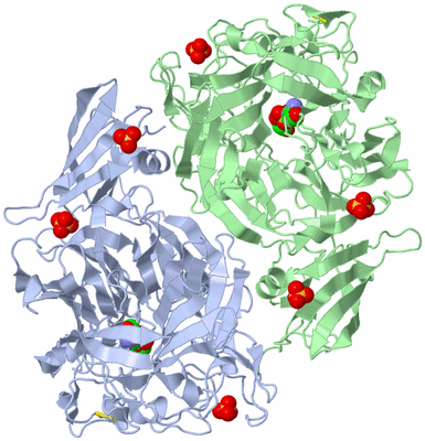 Image Biological Unit 2