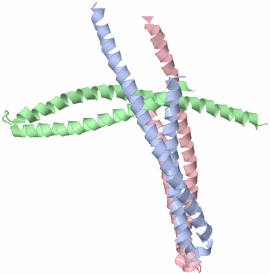 Image Asymmetric Unit