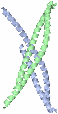 Image Asymmetric Unit