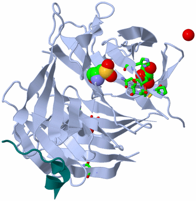 Image Asym./Biol. Unit - sites