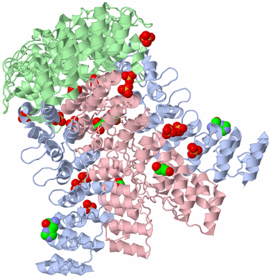 Image Biological Unit 1