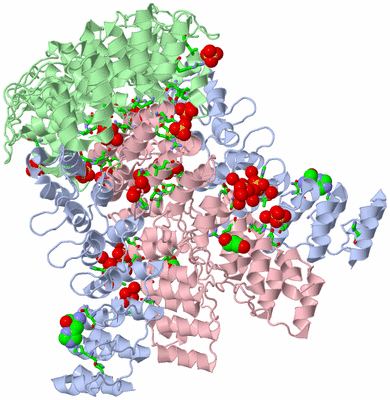 Image Biol. Unit 1 - sites