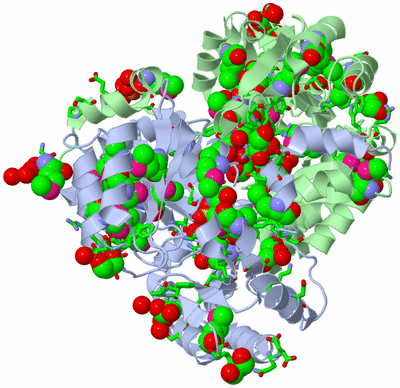 Image Asym./Biol. Unit - sites