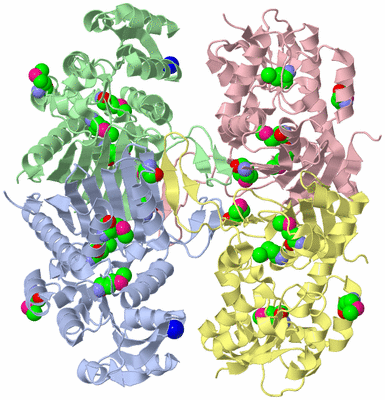 Image Asym./Biol. Unit