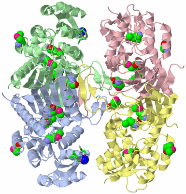 Image Asym./Biol. Unit - sites