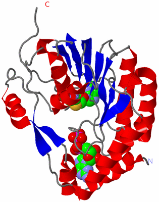 Image Asym./Biol. Unit