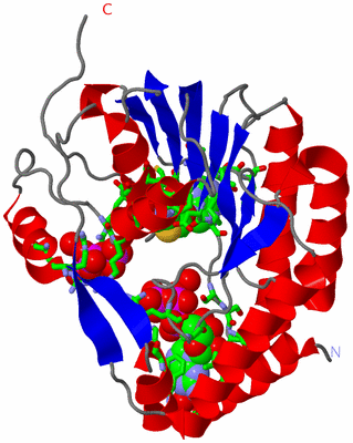 Image Asym./Biol. Unit - sites