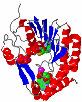 Image Asym./Biol. Unit