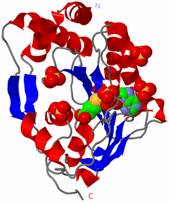 Image Asym./Biol. Unit