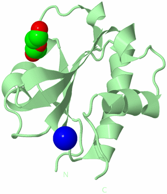 Image Biological Unit 3