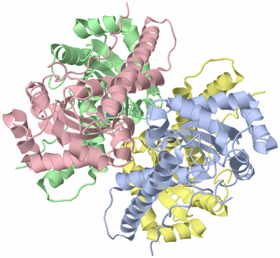 Image Asym./Biol. Unit