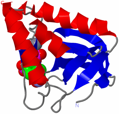 Image Asym./Biol. Unit