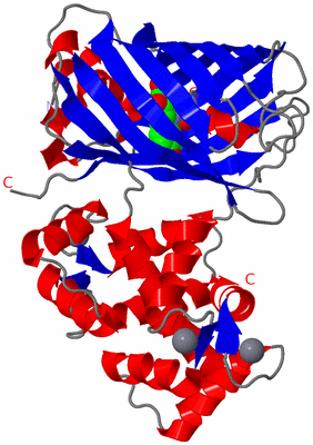 Image Asym./Biol. Unit