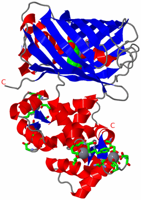 Image Asym./Biol. Unit - sites