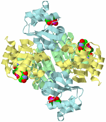 Image Biological Unit 2