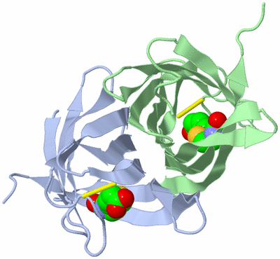 Image Biological Unit 1