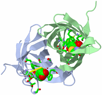 Image Biol. Unit 1 - sites